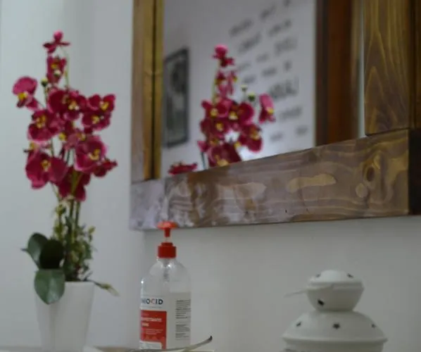 Pacific House Apartamento